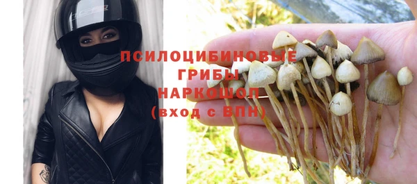 кокаин Белокуриха