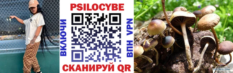 Псилоцибиновые грибы прущие грибы  мориарти какой сайт  Биробиджан  купить  